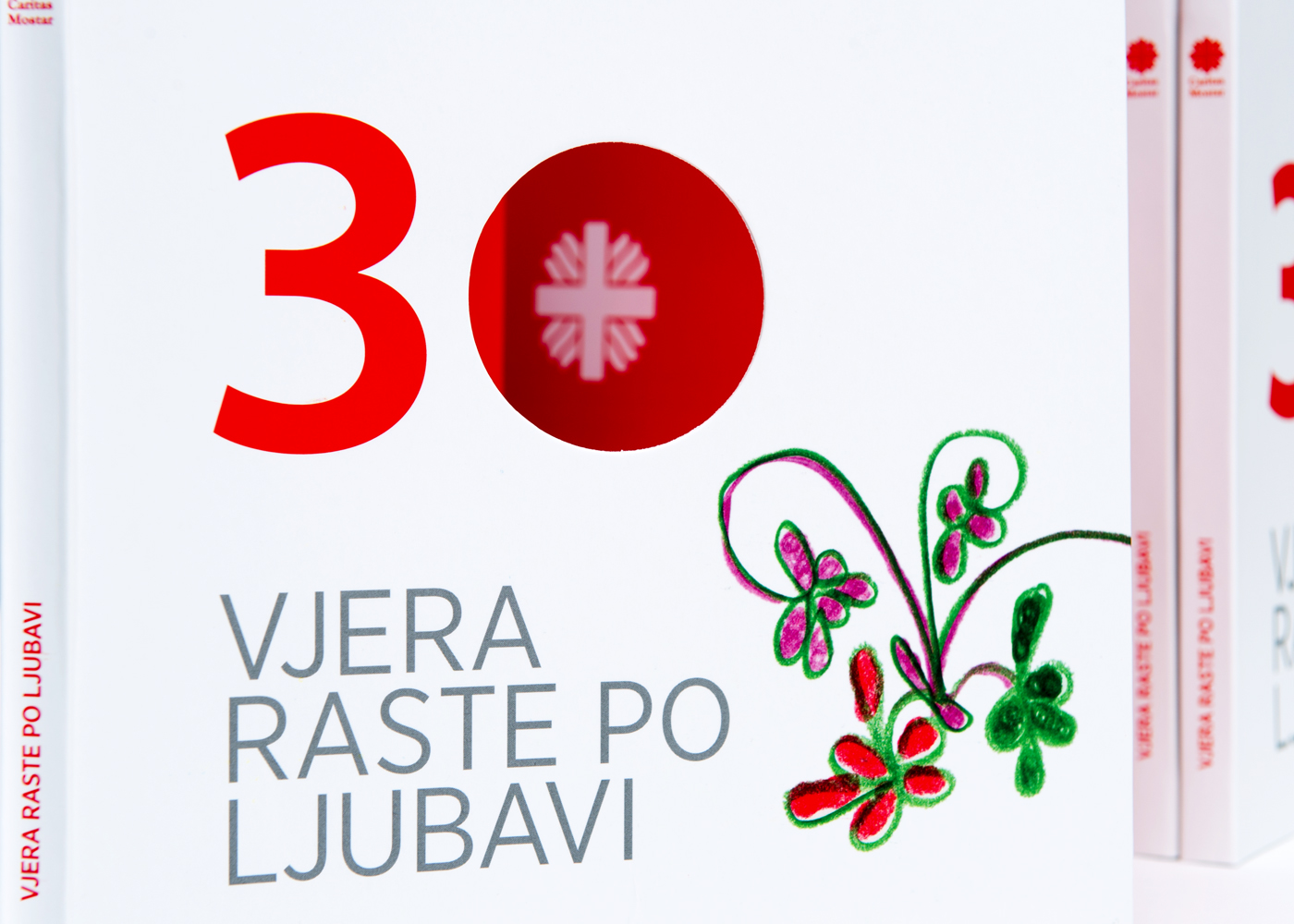 The Caritas Mostar Monograph